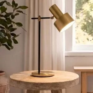 Đèn bàn hiện đại giá rẻ DB-305