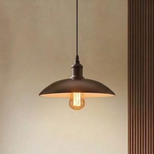 Đèn thả chụp sắt xòe giá rẻ TDC-14