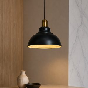 Đèn thả chụp sắt TDC-19