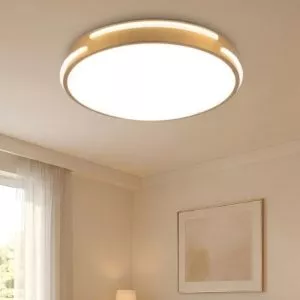 Đèn ốp trần viền đồng cao cấp, thiết kế hiện đại, tân cổ điển OT-3002