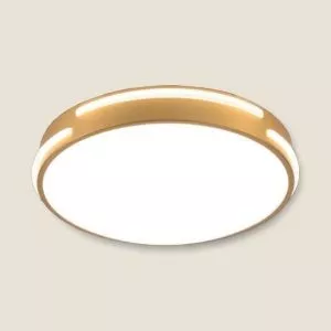 Đèn ốp trần viền đồng cao cấp, thiết kế hiện đại, tân cổ điển OT-3002