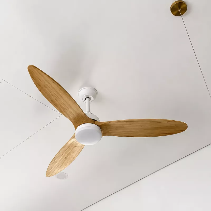 Quạt trần đèn, cánh gỗ, thiết kế hiện đại QT-109T - Hình ảnh 4
