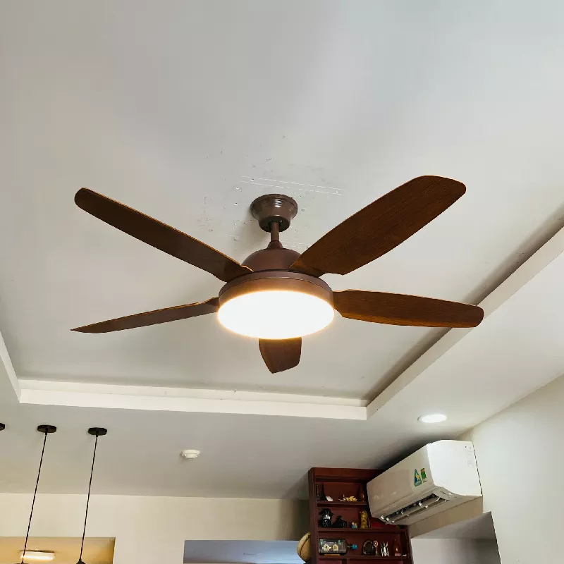 Quạt trần đèn, 5 cánh nhựa, thiết kế hiện đại QT-161 - Hình ảnh 4