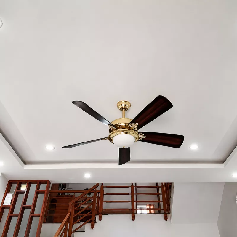 Quạt trần đèn thiết kế 5 cánh gỗ phong cách cổ điển QT-232 - Hình ảnh 3